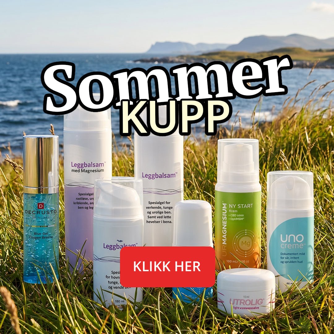 Kampanje 1 - Sommerkupp