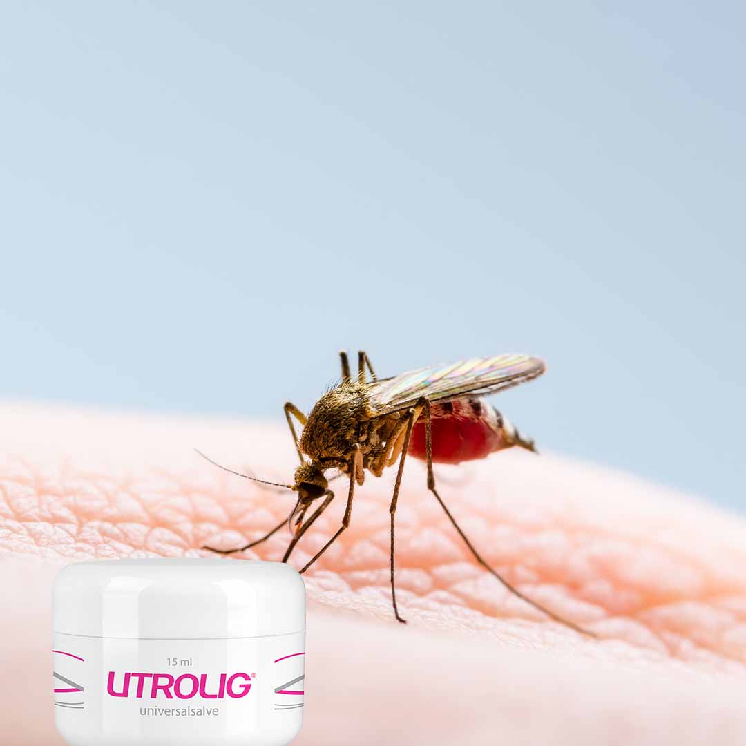 Utrolig Liten og Stor - Den største og den minste krukken - Bilde 5